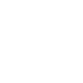 Custom Web Design <br>Tailored To Your Brand